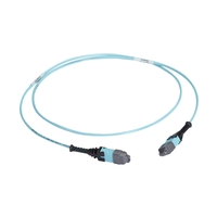 FOTC30M3MP12AQ-30R2: 12-Strand, 30m